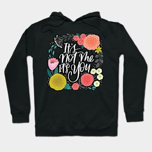 It's Not Me, It's You Hoodie